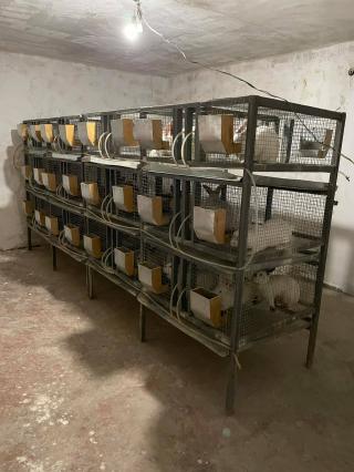 Ներկայացնում է «Ապագա» հիմնադրամի փորձագետ Դավիթ Դավթյանը